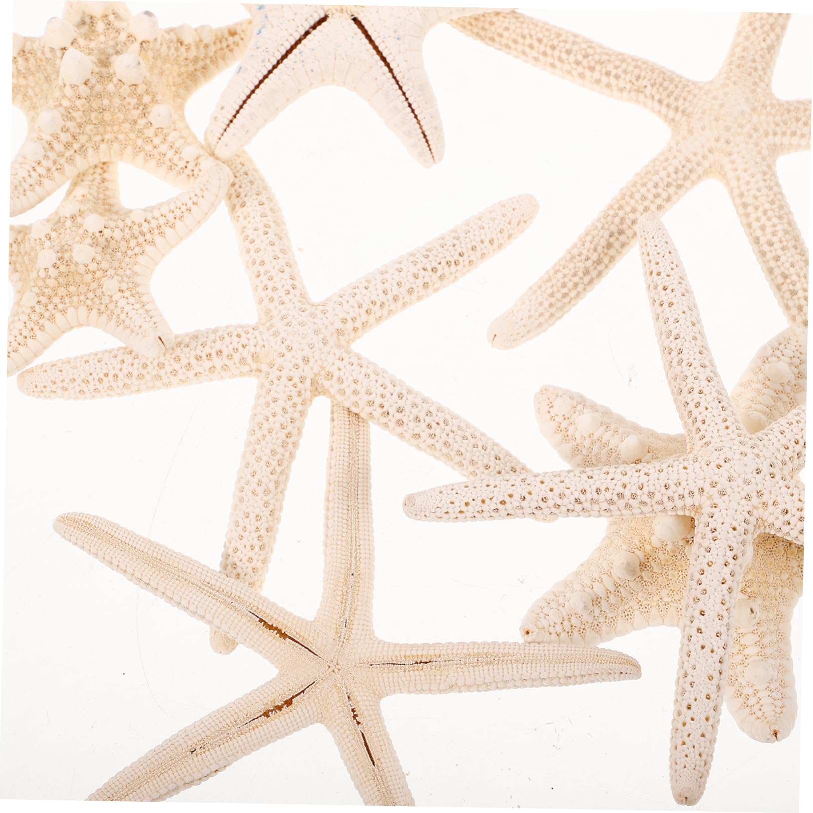 Amazon.co.jp: 8個 ヒトデドリフトボトル 星の魚の殻 工芸品の海の星